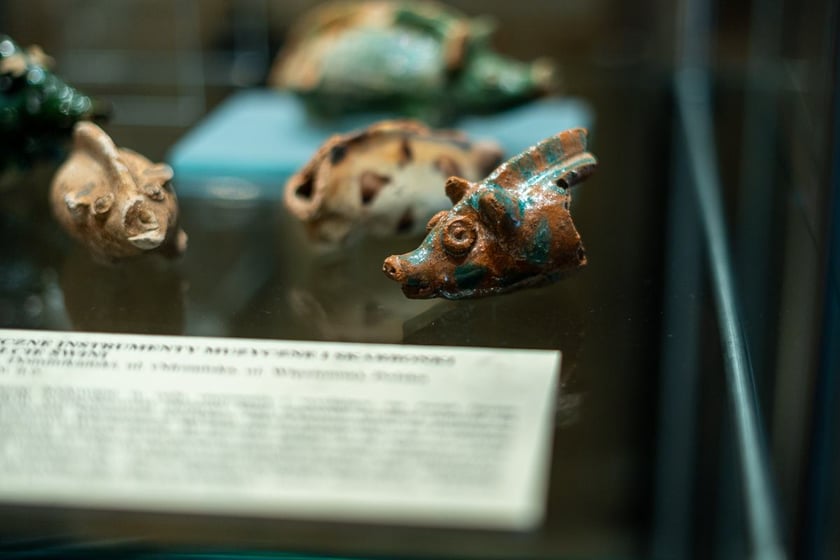 Wystawa Artificalia, naturalia, exotica w Muzeum Archeologicznym we Wrocławiu